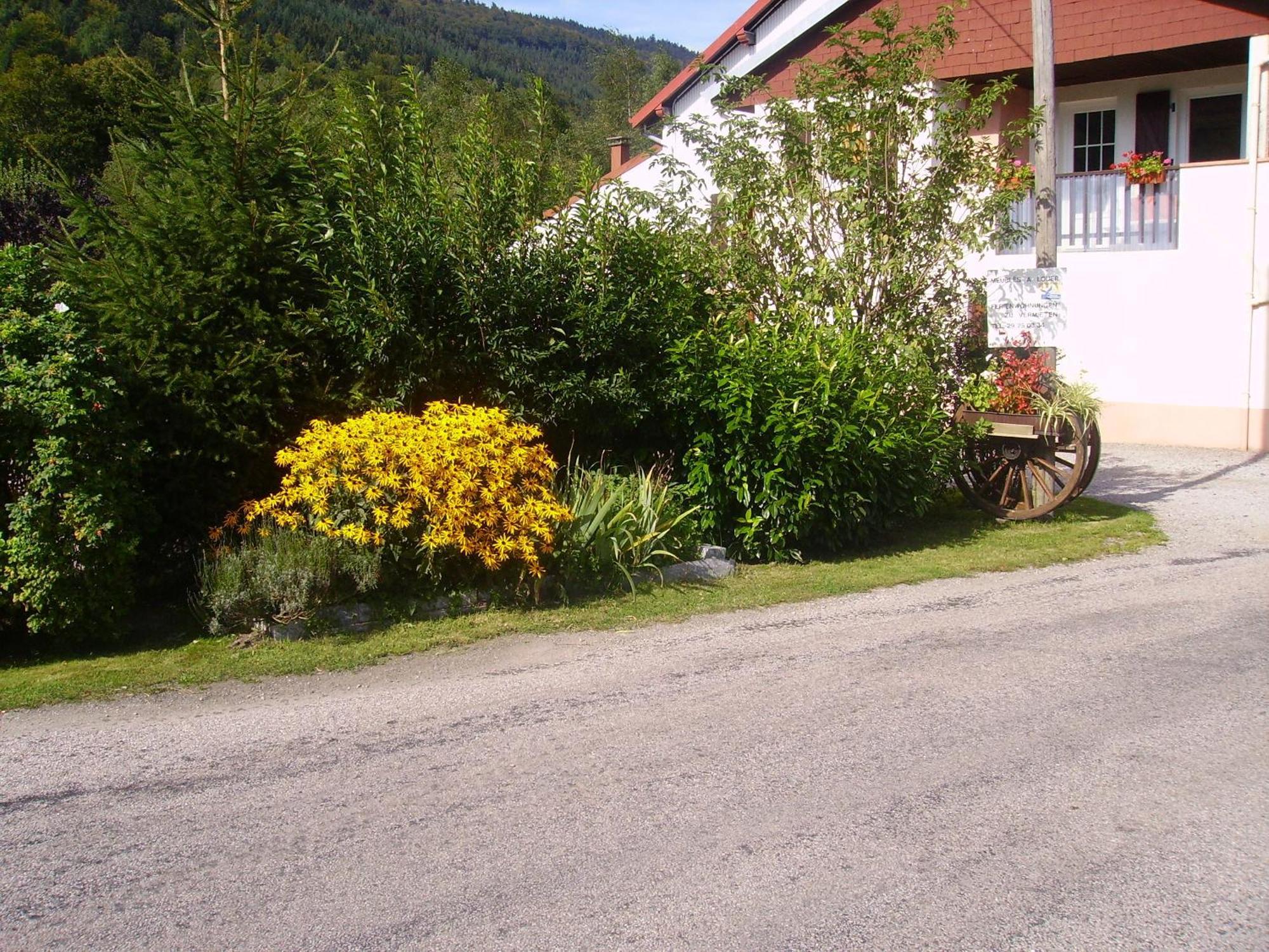 Gites Les Grandes Voies - Cle Vacances Le Ménil Kültér fotó